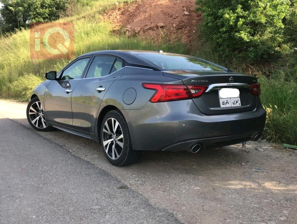 نيسان ماكسيما